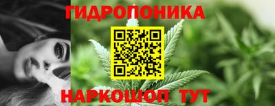 apvp Краснознаменск