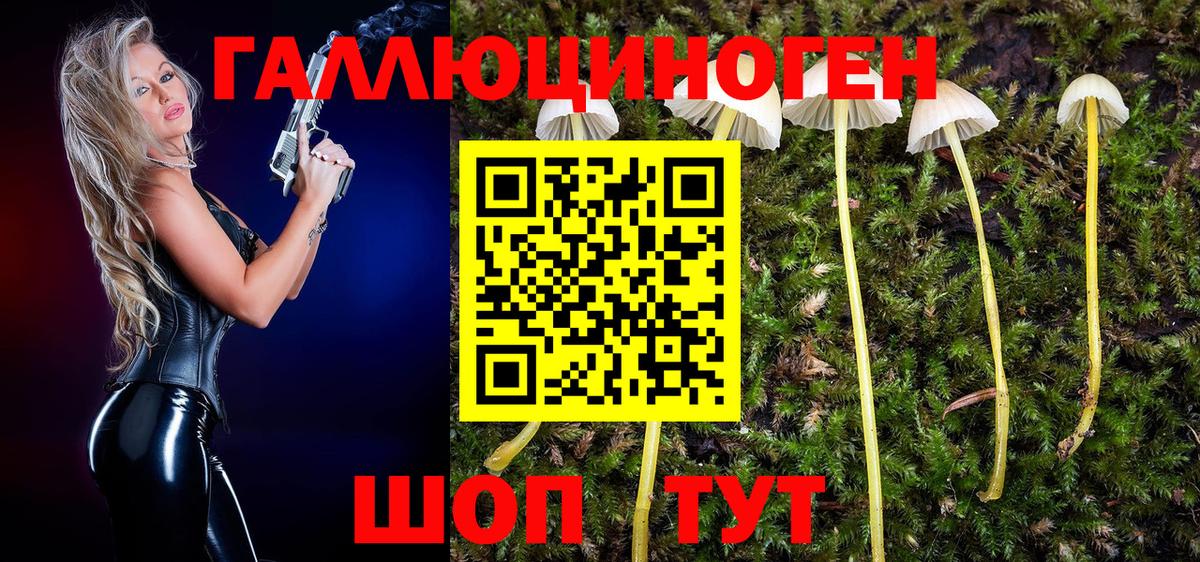 Псилоцибиновые грибы Magic Shrooms Донецк